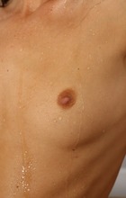 Gina Gerson nude